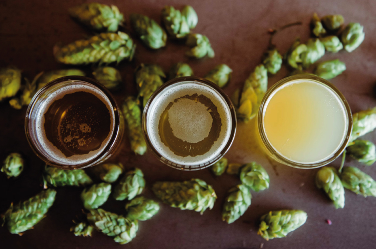Hazy Pale Ale vs IPA