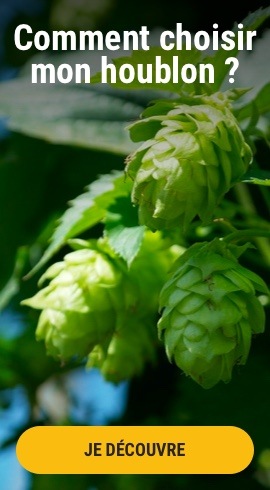 Comment choisir mon houblon ?