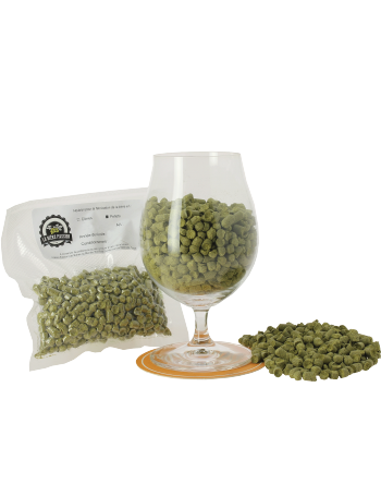 Styrian goldings single hop