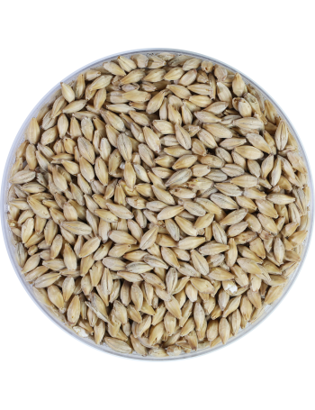 malt Munich  25 EBC Biologique