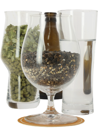 Malt Buckwheat/Sarrasin 10 EBC Malt Buckwheat/Sarrasin 10 EBC
