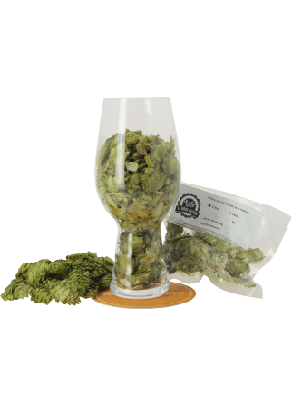 Houblon Saaz Bio en cônes Houblon Saaz Bio en cônes