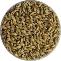 25kg de malt acide nature Bio