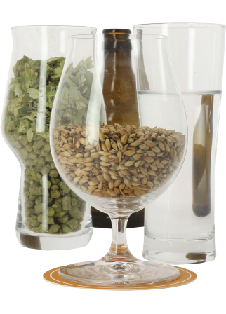 Malt Cara Blond Bio 20 EBC Malt Cara Blond Bio 20 EBC